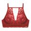rojo/2120b.jpg